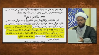 یک دلیل بسیار مهم  برای فهم معنا و مفهوم حدیث غدیر - نازل شدن بلا بر کتمان کنندگان غدیر به درخواست امیرالمومنین علیه السلام