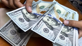 افزایش نرخ ارز، نیاز به نقدینگی و مطالبات معوق را مضاعف کرد