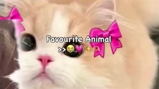 کپ