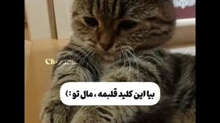 مال تو♡