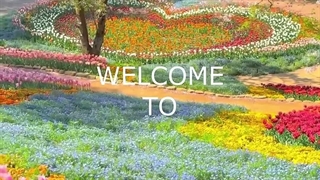 Japan+ nature