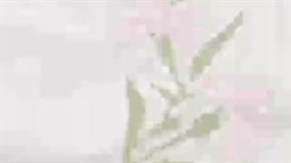 آموزشگاه گلدوزی در رشت 09111395985