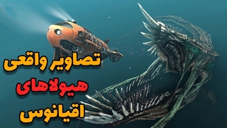 چهار تصویر ضبط شده از هیولاهای وحشتناک زیر اقیانوسها