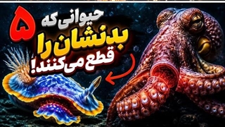 ۵ حیوانی که برای زنده ماندن، اعضای بدن خود را قطع می کنند!