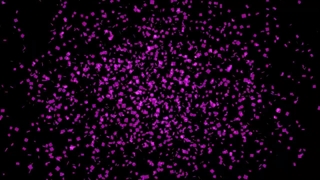 بررسی ReFlow  پلاگین افترافکت + دانلود