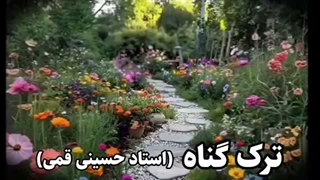 ترک گناه ... سخنرانی کوتاه و شنیدنی حجت الاسلام حسینی قمی