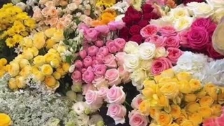 بچه هااااااا یه خبر خوبببب کپ