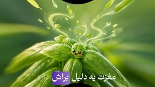 راز حس خوب با سبزیجات تازه