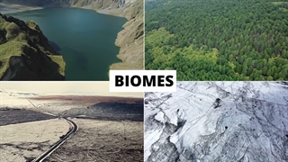 Bioms