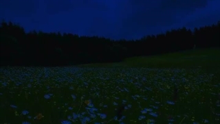 ارامش قبل خواب