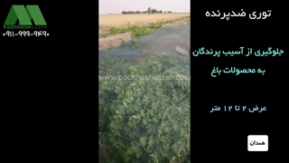 توری ضدپرنده همدان | 09119999490 محافظ باغ انگور، انجیر و درختان میوه ارسال مستقیم کارخانه