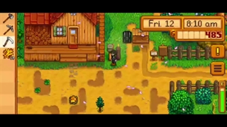 Stardew Valley 1 R_H Binshun