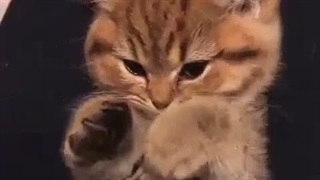 رفتم گوشمو سوراخ کردم پرسینگ زدم درد موکونهههه (ToT)