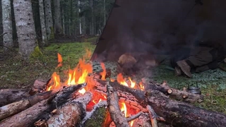 Bear Encounter Risk