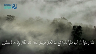 قرائت قرآن - بیمه حافظ