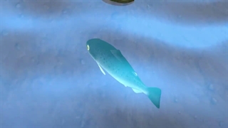 Paw Patrol - Pups Save the Salmon