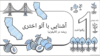 بررسی شرایط کاشت و نگهداری نهال آلو اختری