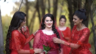 حنای آرش و سحر عزیز