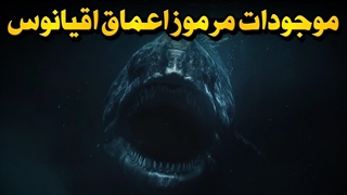 چرا هر چی بیشتر به عمق اقیانوس میریم، موجودات ترسناک‌تر میشن؟