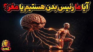 آیا مغز ما رو کنترل می کنه یا نه ما مغز رو کنترل می کنیم ؟