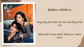 موزیک سریال چینی عشق برای تو我要你爱我 (I Want You to Love Me) - 张碧晨 (Zhang Bichen)《野狗骨头 Love for You》Chi/Eng/Pinyin lyrics