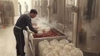 راهنمای شیره گیری خرما با پرس اتوماتیک ایمرپرگاس