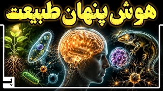 همه چیز در جهان نوعی هوش دارد و تصمیم می گیرد