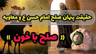 صلح امام حسن با معاویه