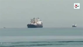 سرنخ_بن_سلمان_دست_به_دامن_ترامپ_شد