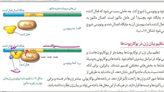 روش حل سوالات ژنتیک زیر بیست ثانیه  جمع بندی زیست حضوری و آنلاین  #رمزیست  .برای مشاوره و ثبت نام کلاس ها09149285452