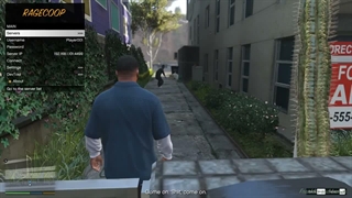 GTA V لن شبکه