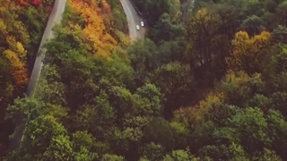 شعر...