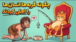 چطور گربه‌ها انسان‌ها را اهلی کردند؟ داستان واقعی تکامل گربه‌ها