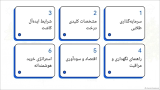 راهنمای جامع خرید و پرورش نهال سیب زرد لبنان
