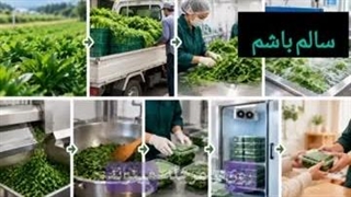 نظافت در کار سبزی یعنی فقط شستن سبزی