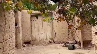 پاییز بی انصاف