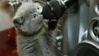 فرداااااااااااااا