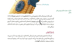 جمع بندی زیست حضوری و آنلاین  #رمزیست  .برای مشاوره و ثبت نام کلاس های زیست پیامک  به شماره 09149285452