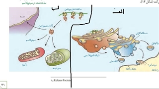 جمع بندی زیست حضوری و آنلاین  #رمزیست  .برای مشاوره و ثبت نام کلاس های زیست پیامک  به شماره 09149285452