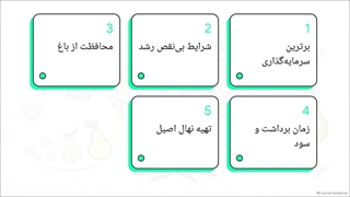 بررسی و معرفی نهال گلابی ویلیام دوشس و شرایط کاشت