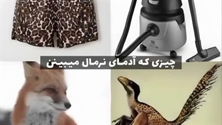 دوستان معنی جارو برقیه رو با کمک دوست عزیزمون گلسا خانوم و کسی که پیشنهاد داد ازش بپرسم یعنی لیا فهمیدم برید کپ کامل نوشته شده