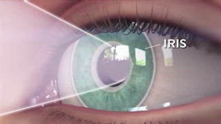 چشم انسان چگونه می‌بیند ؟