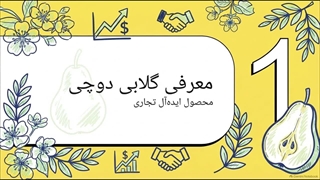 راهنمای جامع بررسی نهال گلابی دوچی