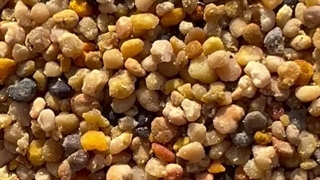 گرده گل اصل چه مشخصاتی دارد؟