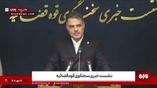 سخنگوی قوه قضائیه: پرونده علی ضیا به دلیل توهین به رئیس‌جمهور تشکیل نشده است