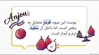 راهنمای جامع نهال گلابی رد آنجو