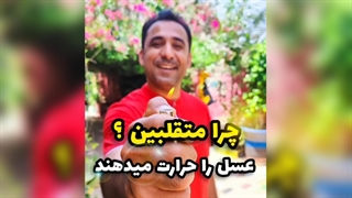 عسل خام؛ ارزشمندتر از چیزی که فکر می‌کنید