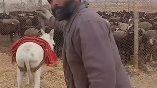 به جای دکتر این چوپون رئیس جمهور میشد وضع کشور بهتر ازین میشد