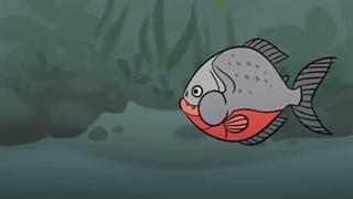 Pirana