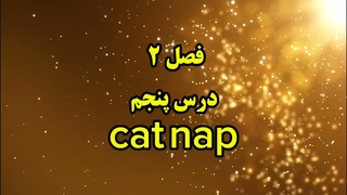 ضرب المثل انگلیسی cat nap